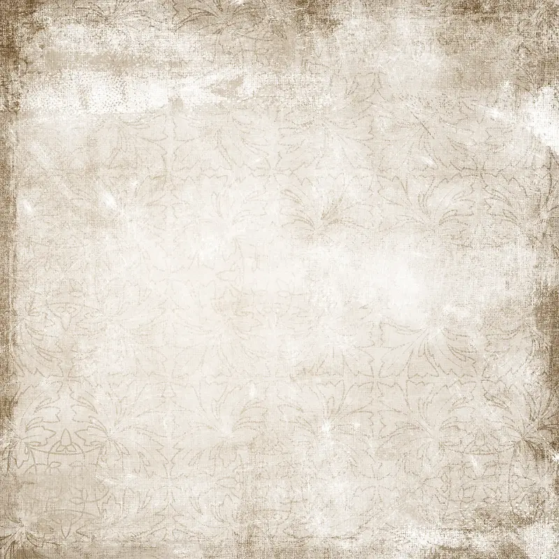 ���Ż��Ʊ���-������