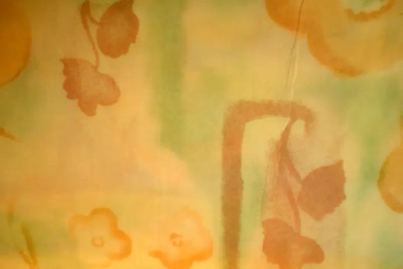 ��ɫ���Ʊ���-������