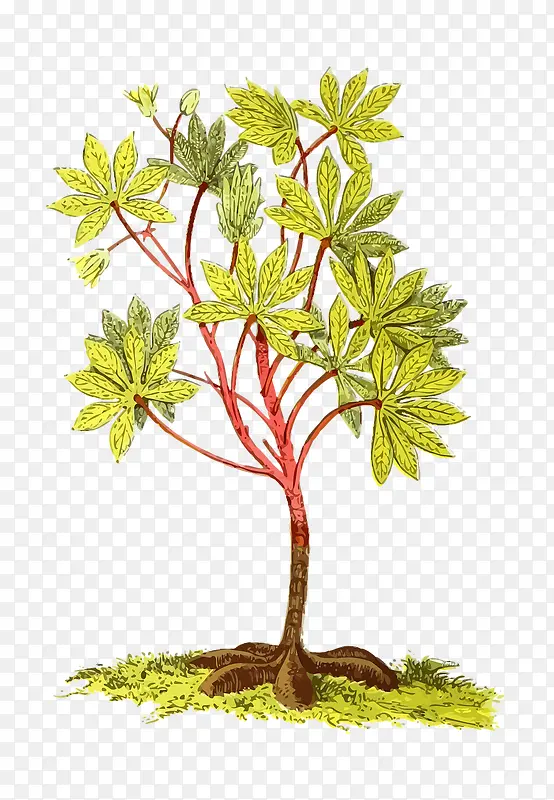 ��׳�ɳ�С��-������