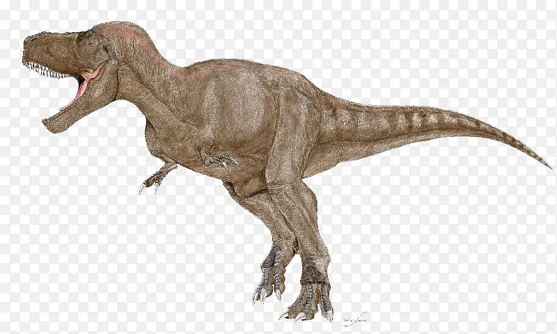 һֻ������-������