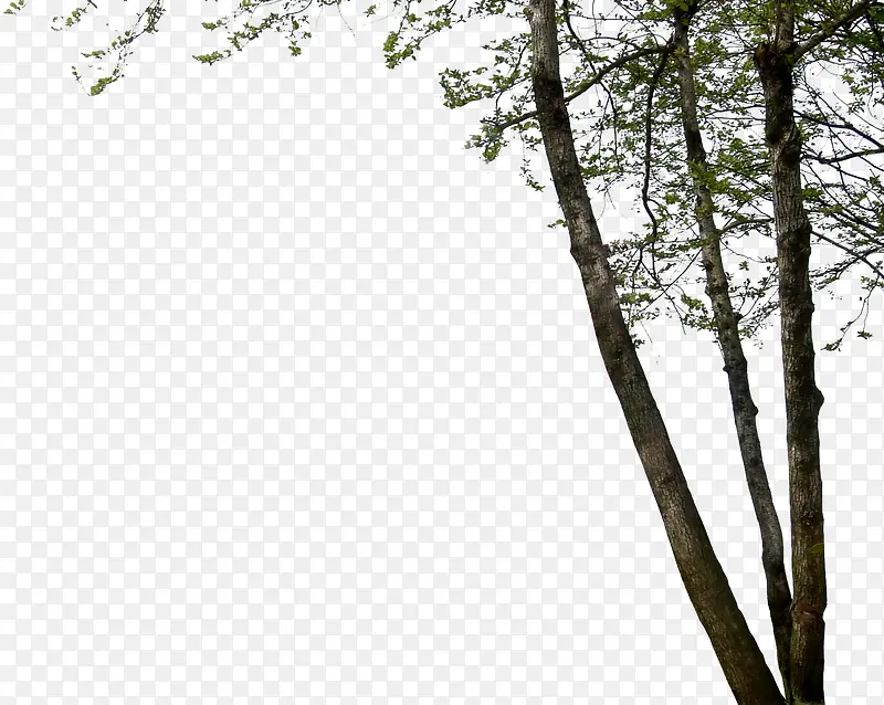 ������ľǰ��װ��Ч��-������