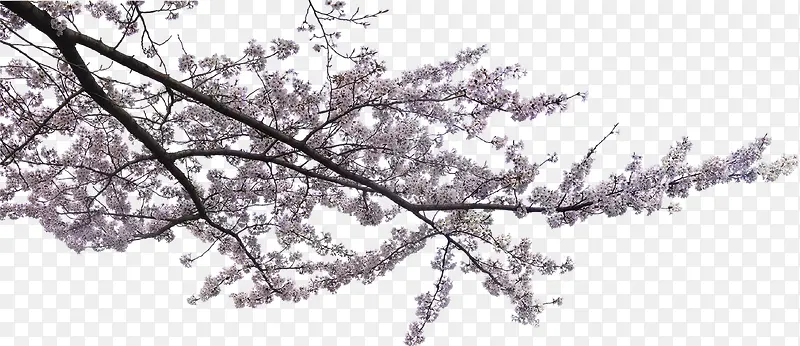 ����÷������ͷЧ���ز�-������