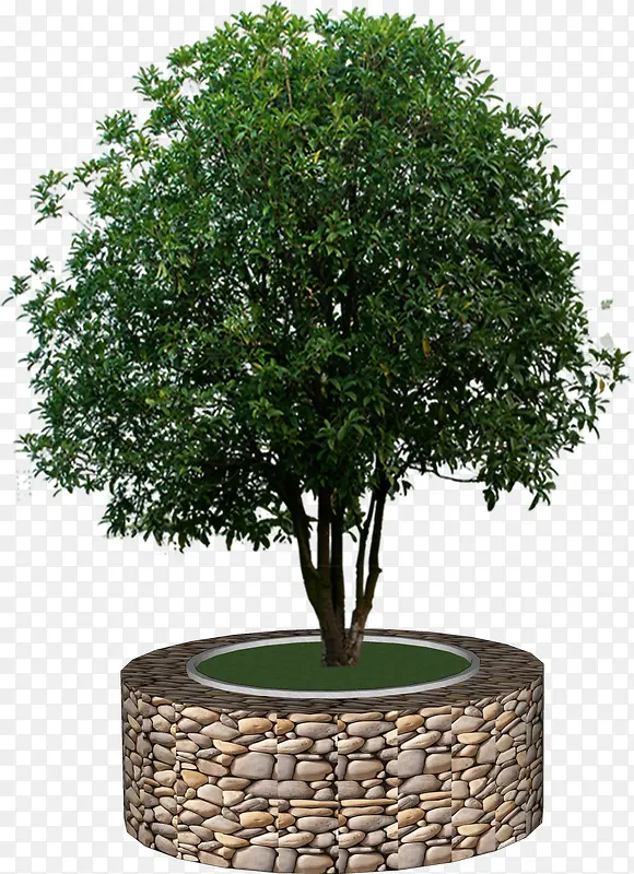 ����Բ������-������