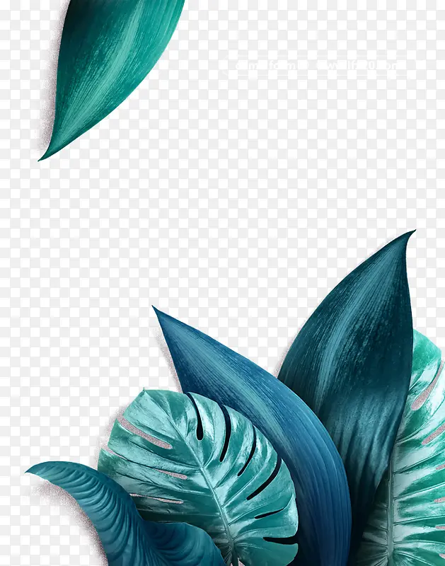 ˮ������Ҷ��-������