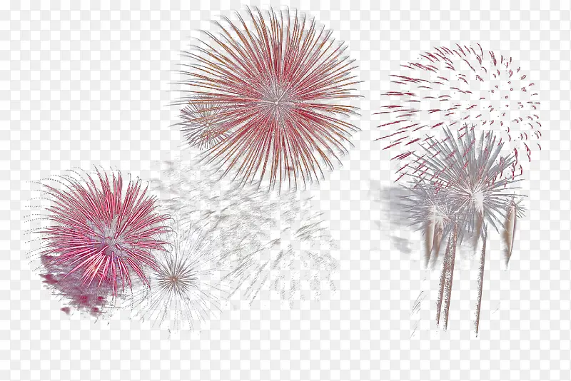 �����ɫ�̻��̻�-������