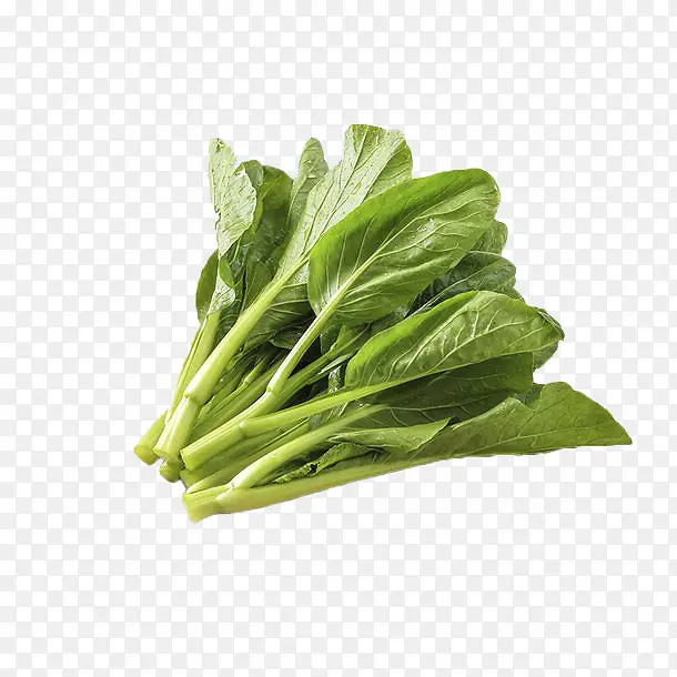 ��˴�Ҷ�߲���-������