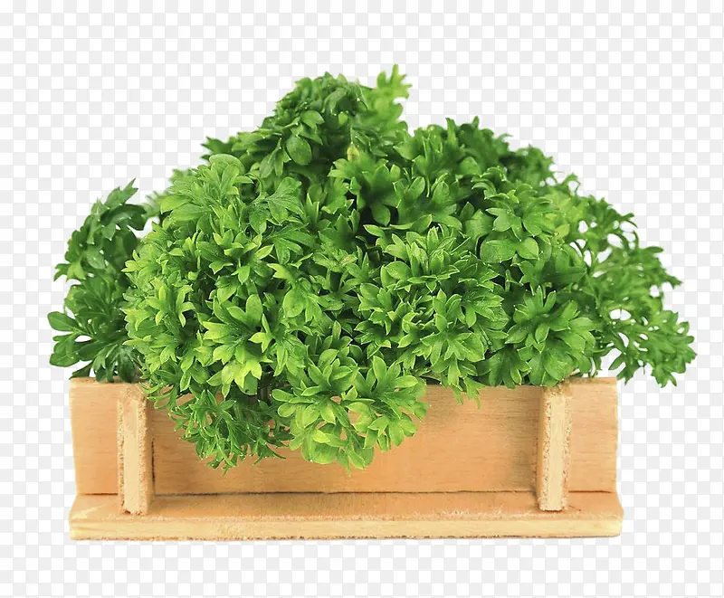 ������������-������