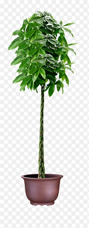 ������ ����-������