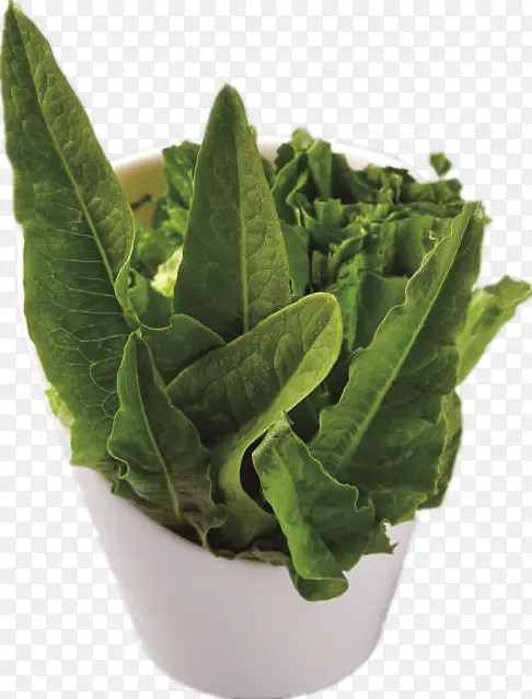 �����������߲�-������