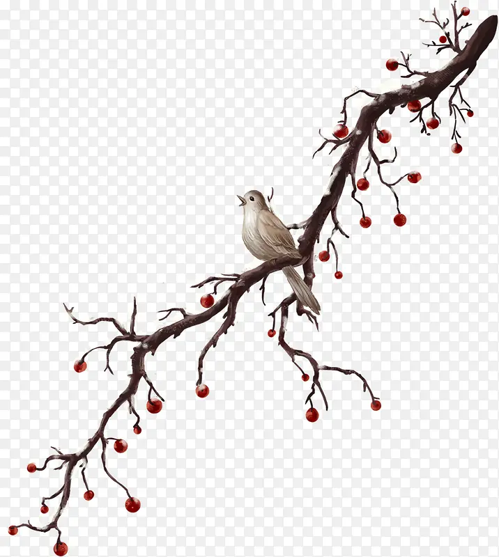 ��֦����֦����-������