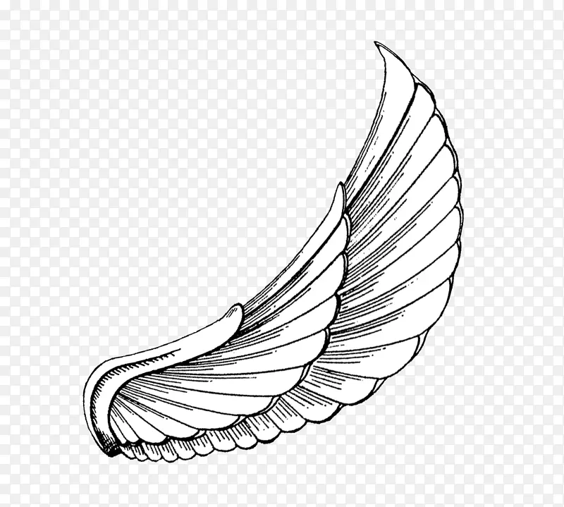 �Ű�����������������̫����̹����-������