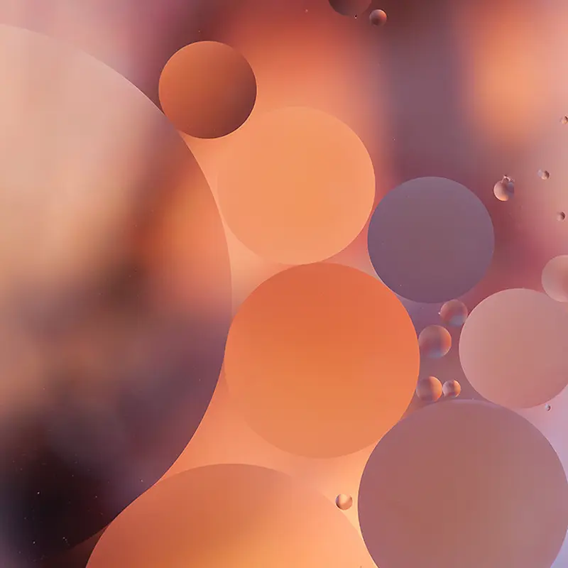 �����زı�ֽ����-������