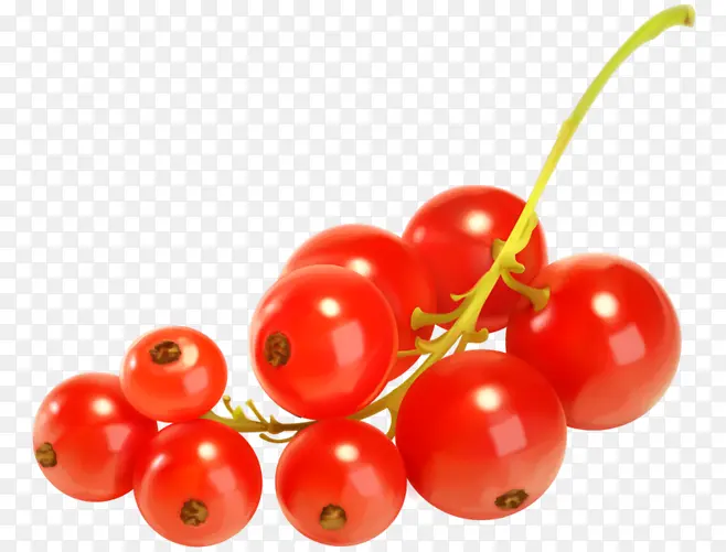 ���� ��ɫ ˮ�� ɳ��-������