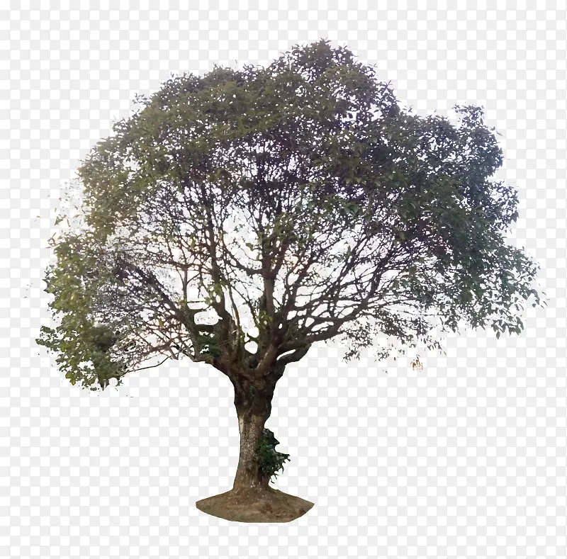 ��۴����ز�-������