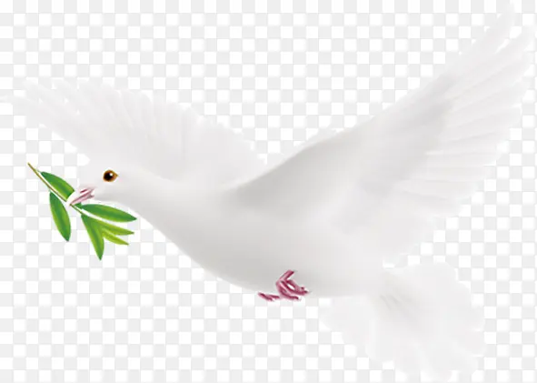 ���� ��ͨ  �廭 �ز�1-������