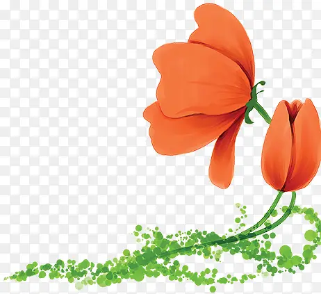 ���� ֲ��  �廭 �ز�5-������