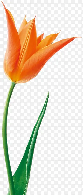 ���� ֲ��  �廭 �ز�4-������