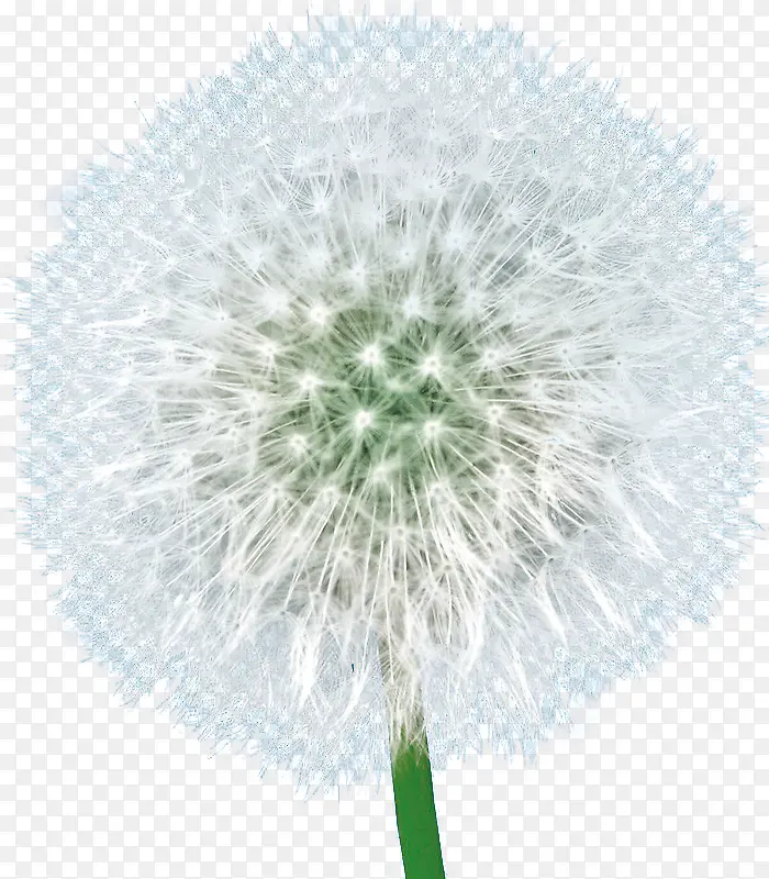 �ѹ�Ӣ ֲ��  �廭 �ز�3-������