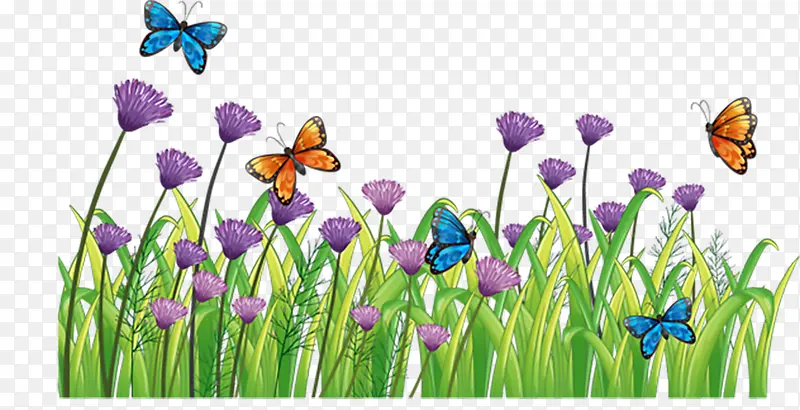 ���� ֲ��  �廭 �ز�-������