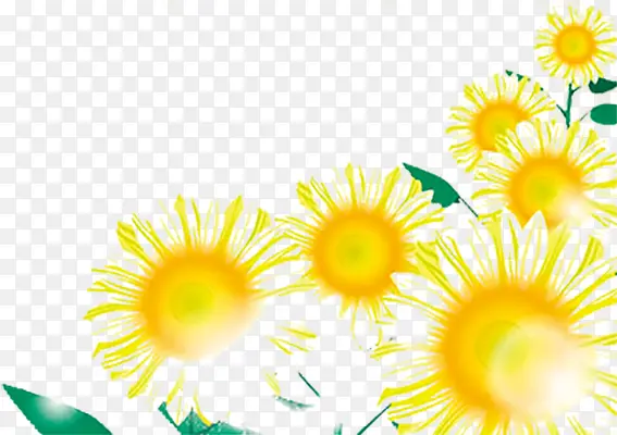 ���տ� ֲ��  �廭 �ز�1-������