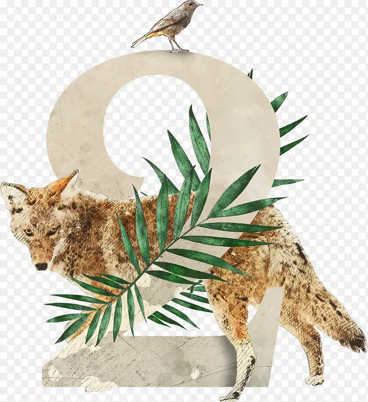 ��ֲ��Ӣ��������2-������