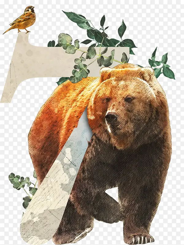 ��ֲ��Ӣ��������7-������