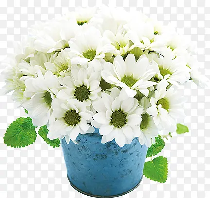 �� ֲ��  �廭 �ز�-������