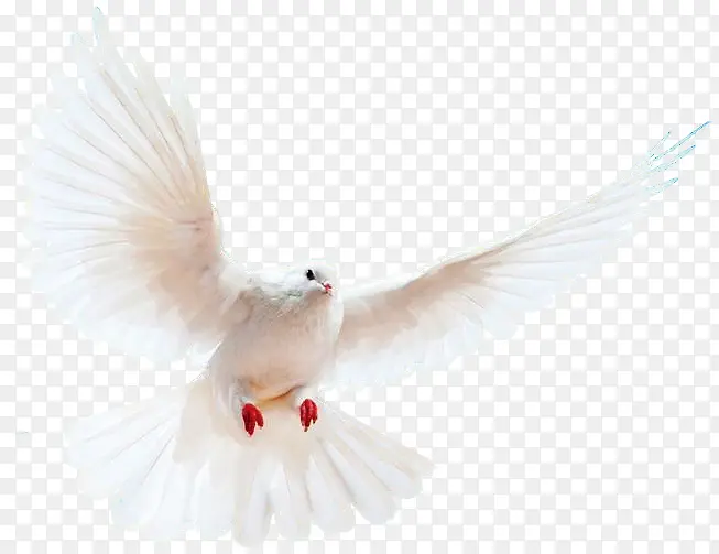 ���� ����  �廭 �ز�-������