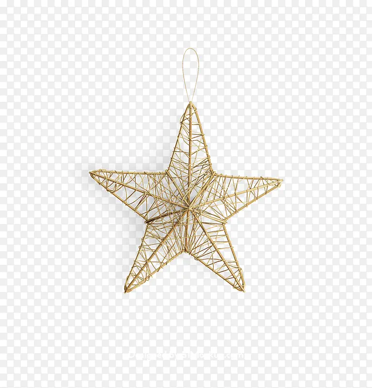 ʥ��������͸��-������