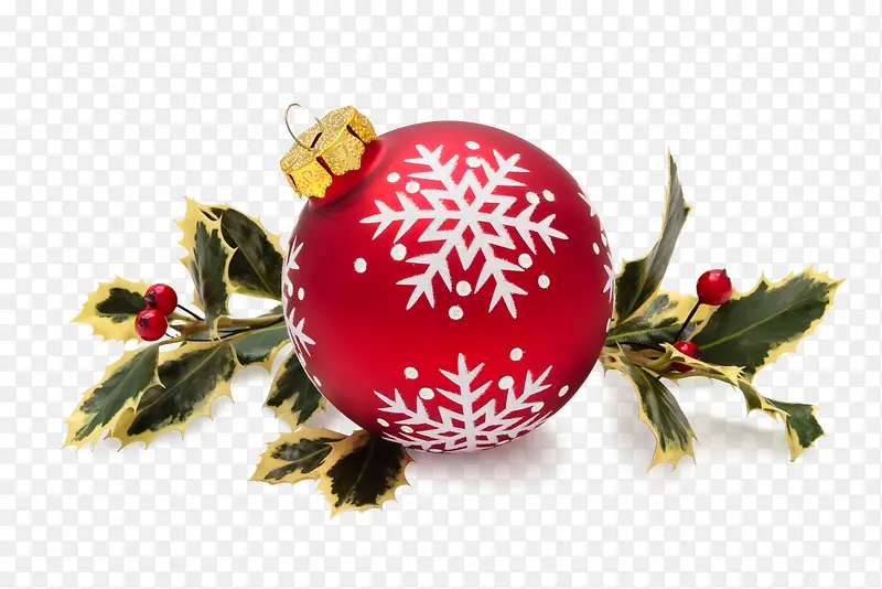 ʥ����Բ�����պ�����ѩ����Ҷ-������