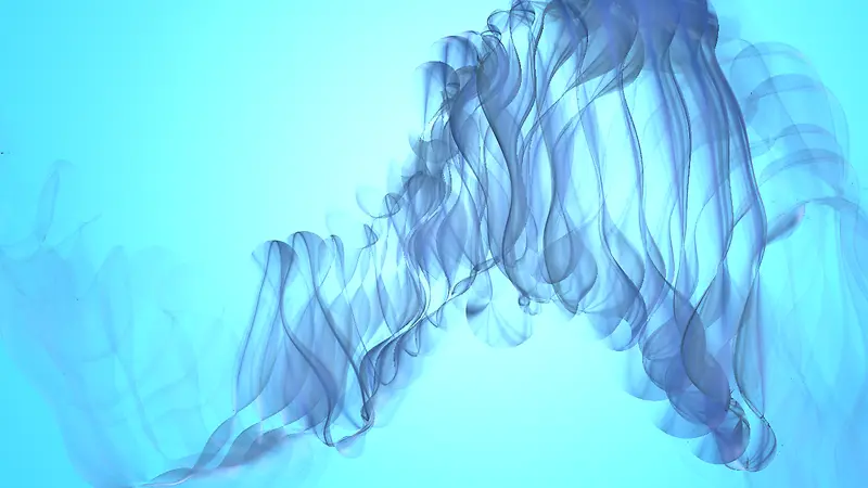 ����ͼ��˿��-������