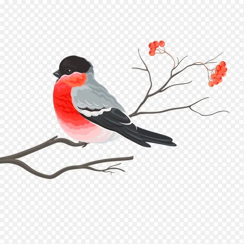 �񣬻�����ͨ�� ��֦-������