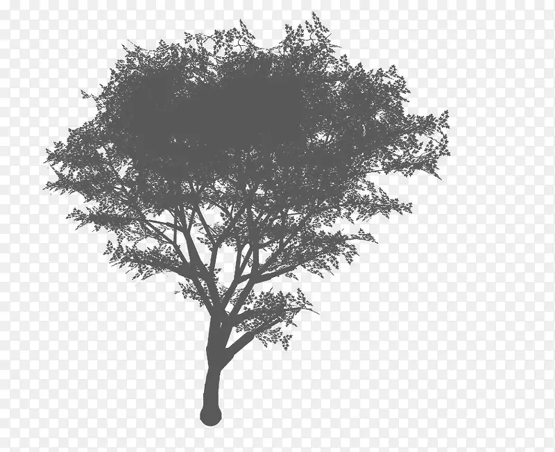 �й���ˮī������-������