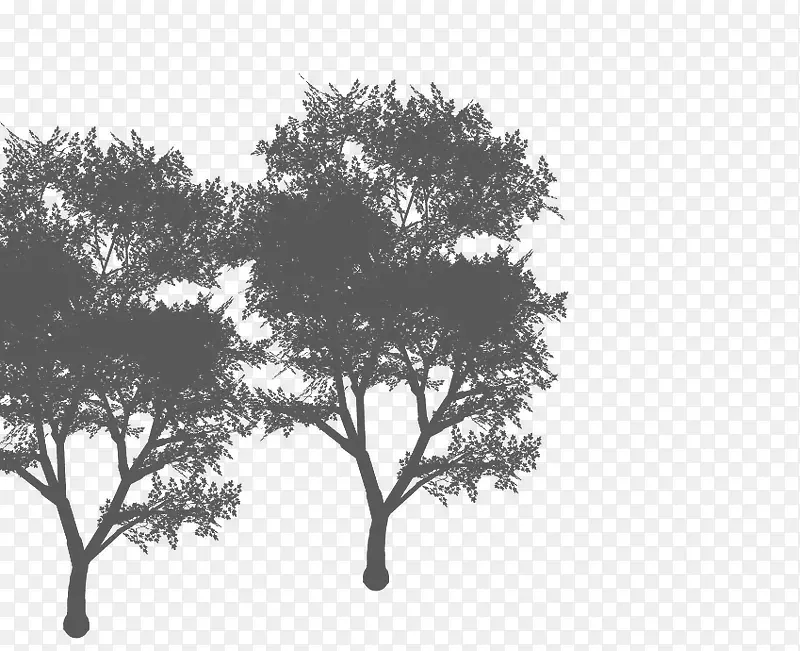 ʸ��ˮī�����й���-������