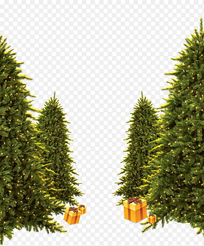 ʥ���ڣ�������-������