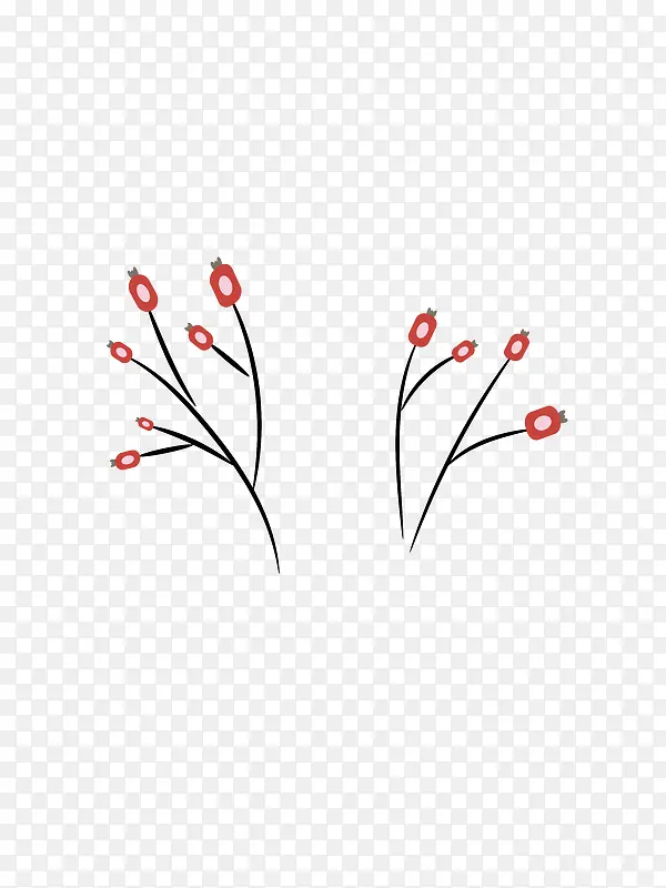 ��ɫ��ʵ��֦-������