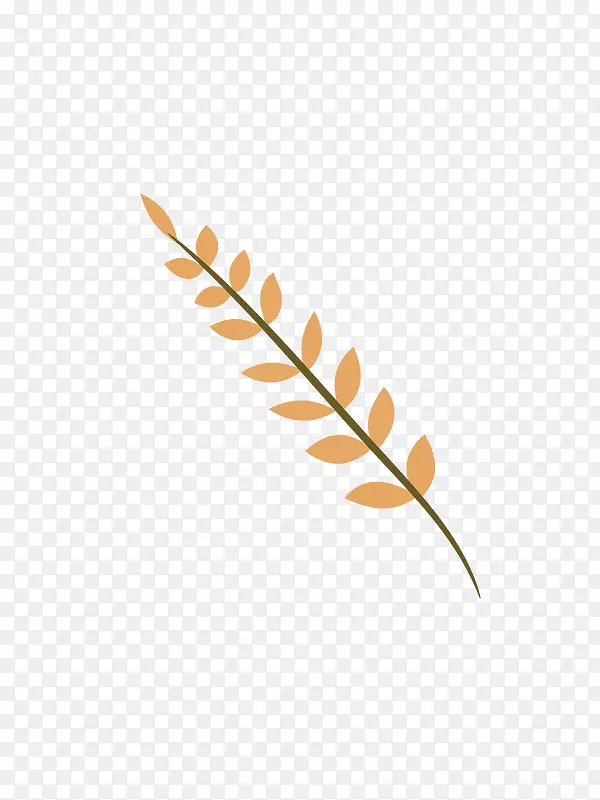 ����С����Ҷ-������