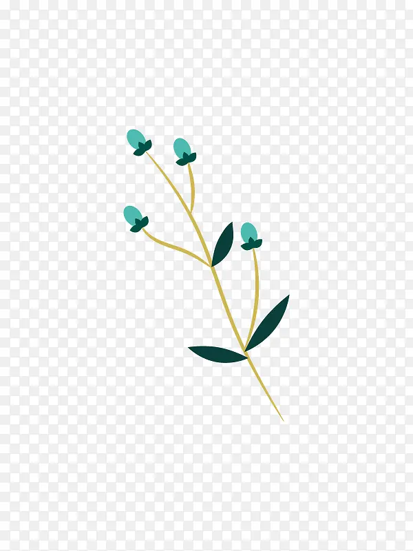 ��ɫ��ʵ��֦-������