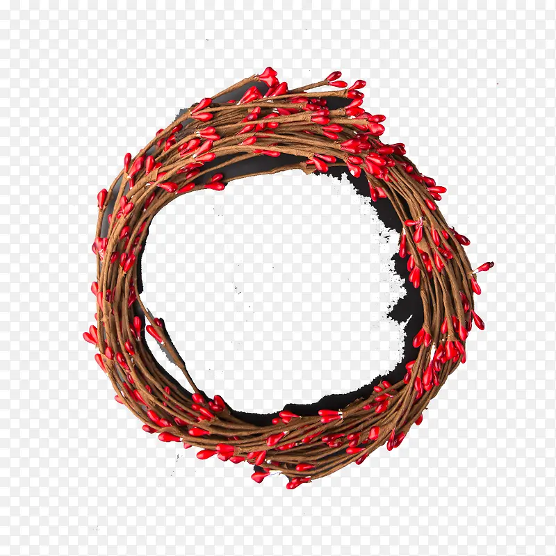 ʵ��ʥ��װ�ν�����֦-������