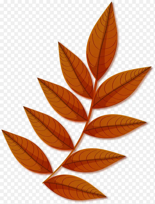 �������֦װ��-������