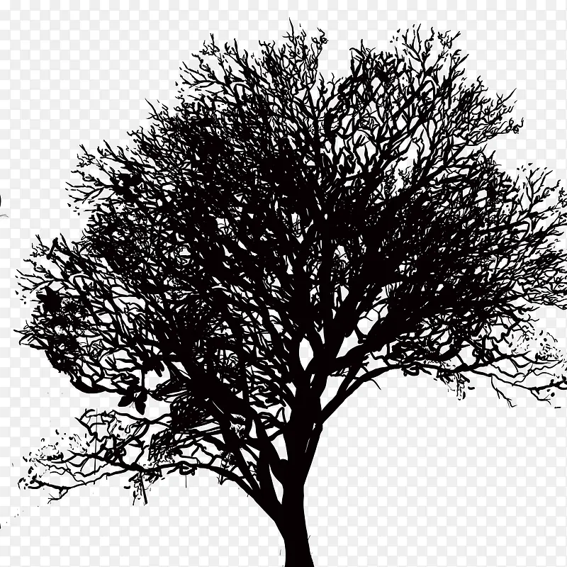 ��ɫ����-������