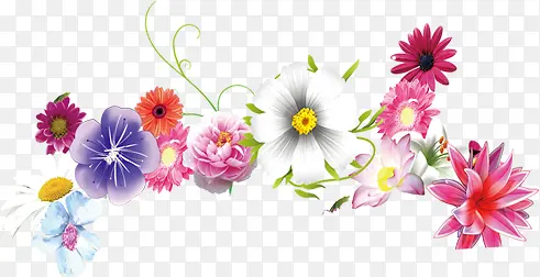 ��ɫ������Ҷ����-������