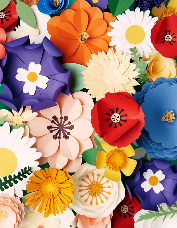 ��ֽ��ɫ������Ҷ-������