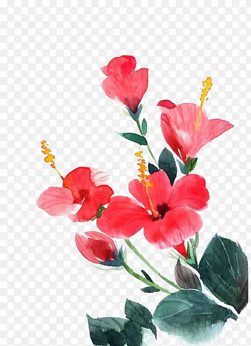 �ʻ�ˮī�����-������