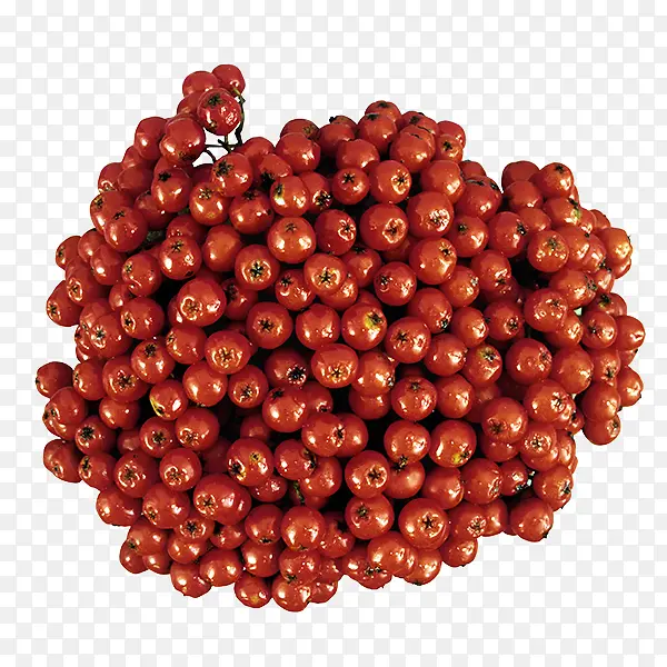 ɽ�-������