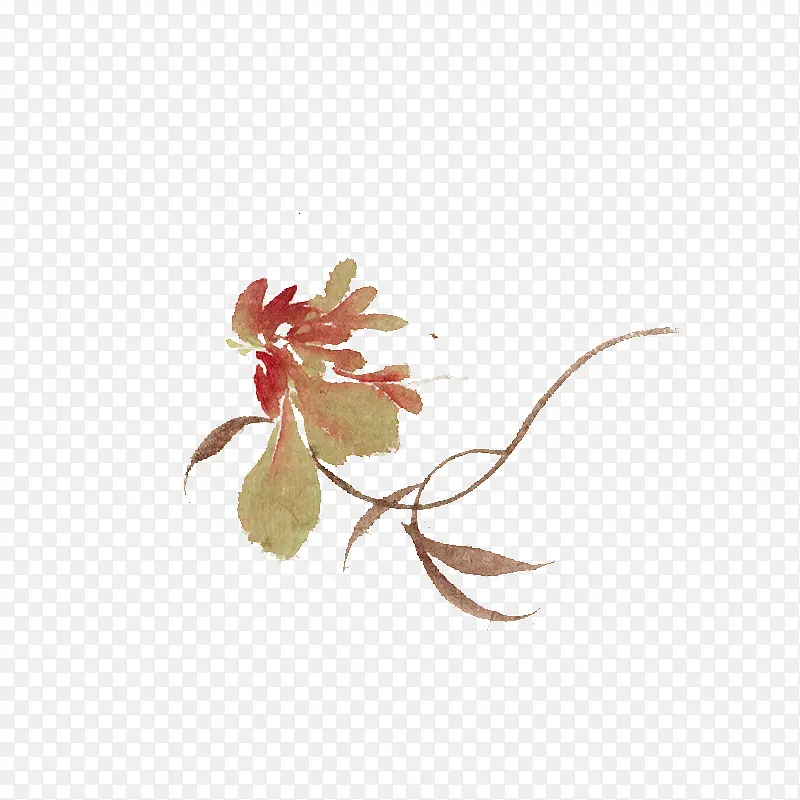 ˮ�ʺ�ɫҶ����֦-������