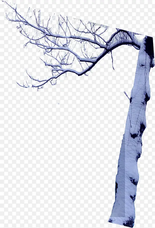 ������ȾЧ����֦-������