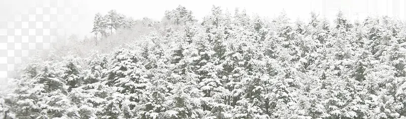 ��Ӱ������ȾЧ��-������