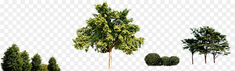 ���崴����Ӱ������Ⱦ-������