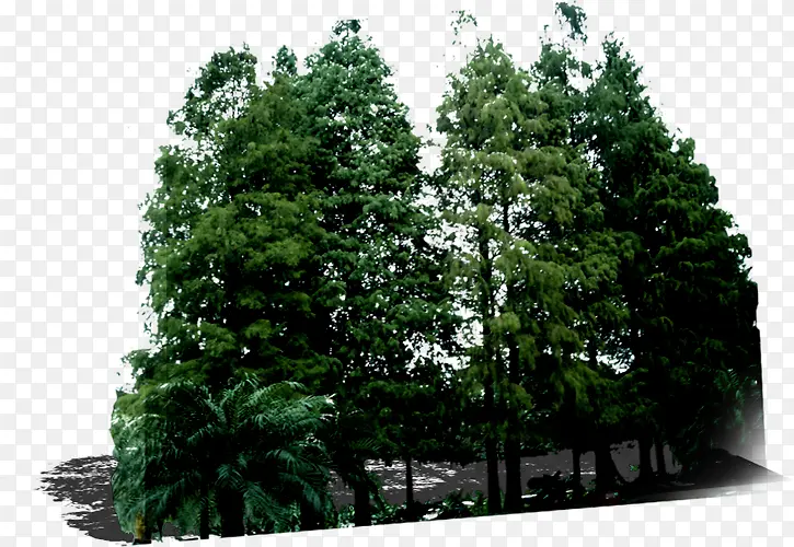 ������Ӱ������ȾЧ��-������